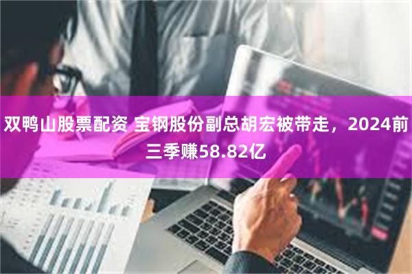 双鸭山股票配资 宝钢股份副总胡宏被带走，2024前三季赚58.82亿