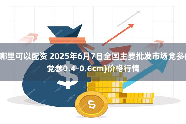 哪里可以配资 2025年6月7日全国主要批发市场党参(党参0.4-0.6cm)价格行情