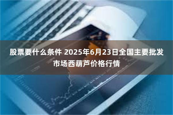 股票要什么条件 2025年6月23日全国主要批发市场西葫芦价格行情