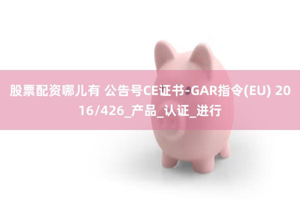 股票配资哪儿有 公告号CE证书-GAR指令(EU) 2016/426_产品_认证_进行