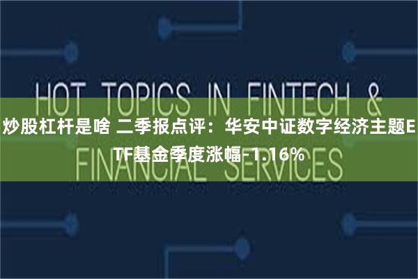 炒股杠杆是啥 二季报点评：华安中证数字经济主题ETF基金季度涨幅-1.16%