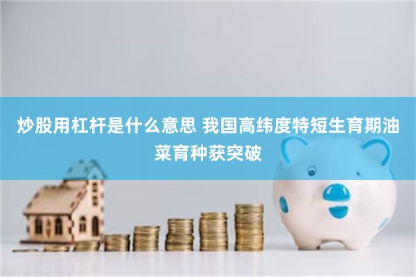炒股用杠杆是什么意思 我国高纬度特短生育期油菜育种获突破