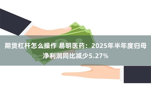 期货杠杆怎么操作 易明医药：2025年半年度归母净利润同比减少5.27%