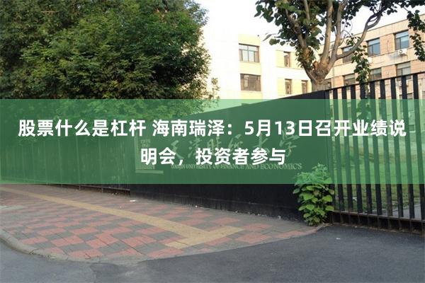 股票什么是杠杆 海南瑞泽：5月13日召开业绩说明会，投资者参与