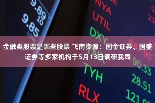 金融类股票是哪些股票 飞南资源：国金证券、国盛证券等多家机构于5月13日调研我司