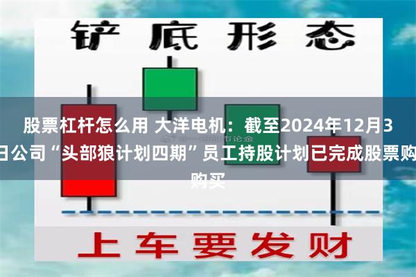股票杠杆怎么用 大洋电机：截至2024年12月31日公司“头部狼计划四期”员工持股计划已完成股票购买