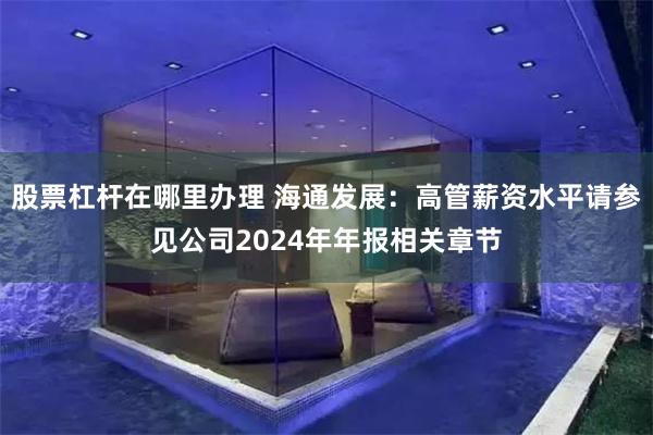 股票杠杆在哪里办理 海通发展：高管薪资水平请参见公司2024年年报相关章节