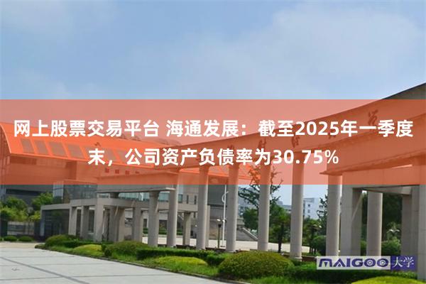 网上股票交易平台 海通发展：截至2025年一季度末，公司资产负债率为30.75%