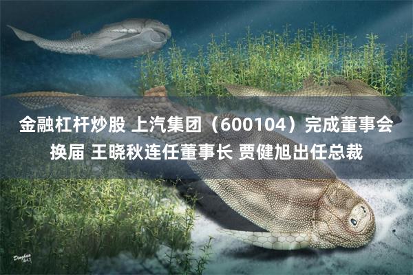 金融杠杆炒股 上汽集团（600104）完成董事会换届 王晓秋连任董事长 贾健旭出任总裁