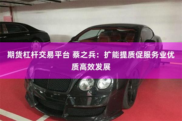 期货杠杆交易平台 蔡之兵:扩能提质促服务业优质高效发展
