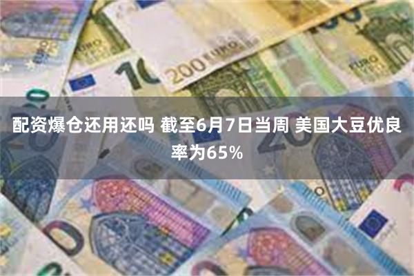 配资爆仓还用还吗 截至6月7日当周 美国大豆优良率为65%