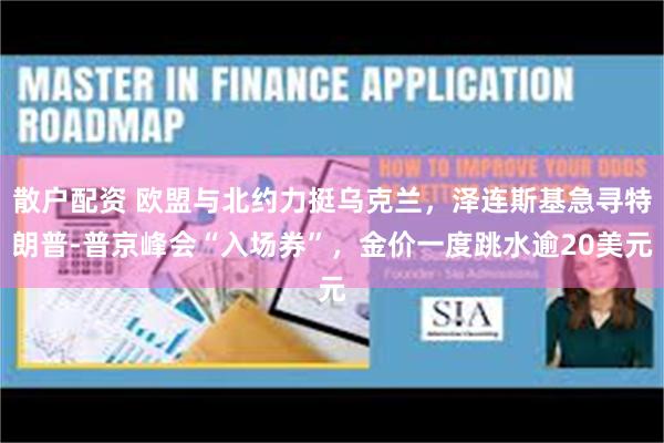 散户配资 欧盟与北约力挺乌克兰,泽连斯基急寻特朗普-普京峰会“入场券”,金价一度跳水逾20美元