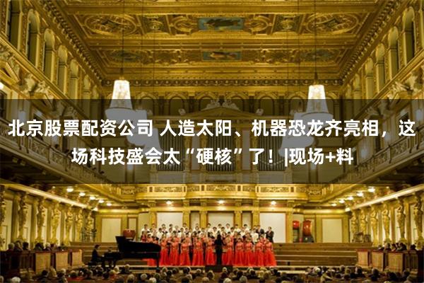 北京股票配资公司 人造太阳、机器恐龙齐亮相,这场科技盛会太“硬核”了!|现场+料