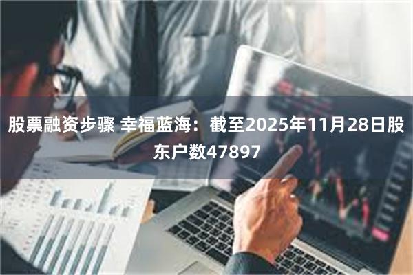 股票融资步骤 幸福蓝海：截至2025年11月28日股东户数47897