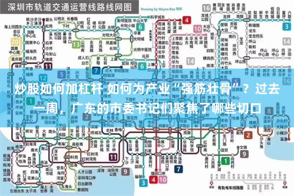 炒股如何加杠杆 如何为产业“强筋壮骨”?过去一周,广东的市委书记们聚焦了哪些切口