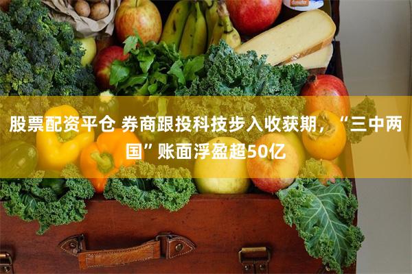 股票配资平仓 券商跟投科技步入收获期，“三中两国”账面浮盈超50亿