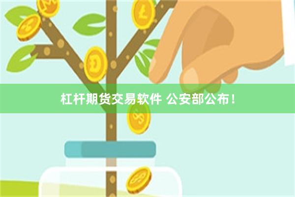 杠杆期货交易软件 公安部公布！