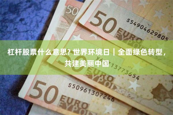 杠杆股票什么意思? 世界环境日｜全面绿色转型，共建美丽中国