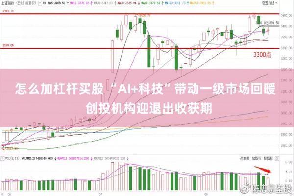 怎么加杠杆买股 “AI+科技”带动一级市场回暖 创投机构迎退出收获期