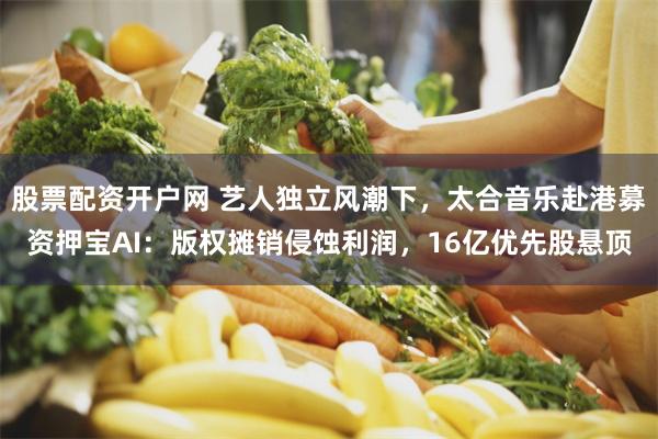 股票配资开户网 艺人独立风潮下，太合音乐赴港募资押宝AI：版权摊销侵蚀利润，16亿优先股悬顶