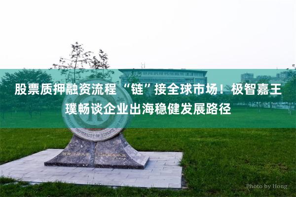 股票质押融资流程 “链”接全球市场！极智嘉王璞畅谈企业出海稳健发展路径
