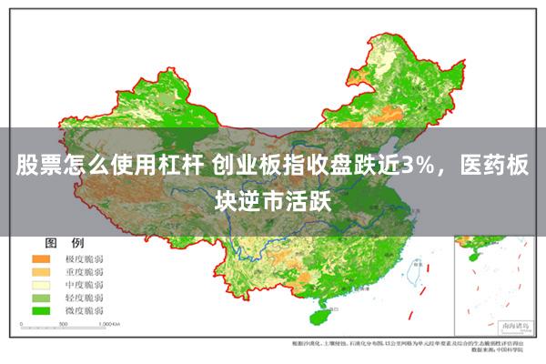 股票怎么使用杠杆 创业板指收盘跌近3%,医药板块逆市活跃
