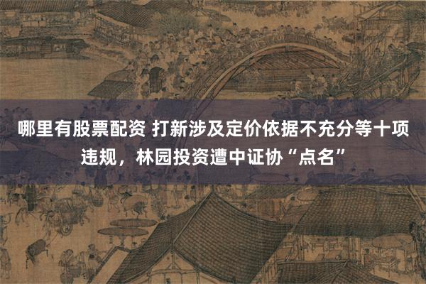 哪里有股票配资 打新涉及定价依据不充分等十项违规，林园投资遭中证协“点名”