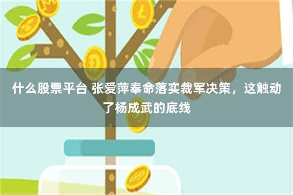 什么股票平台 张爱萍奉命落实裁军决策，这触动了杨成武的底线