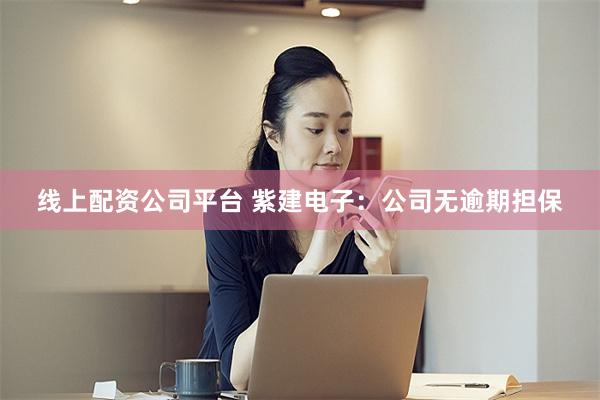 线上配资公司平台 紫建电子：公司无逾期担保