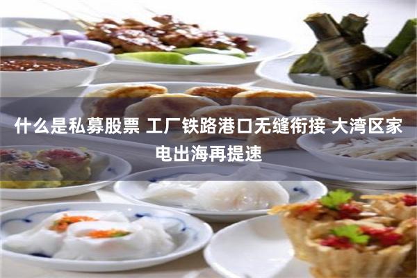什么是私募股票 工厂铁路港口无缝衔接 大湾区家电出海再提速