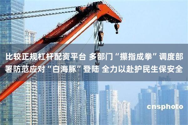 比较正规杠杆配资平台 多部门“攥指成拳”调度部署防范应对“白海豚”登陆 全力以赴护民生保安全