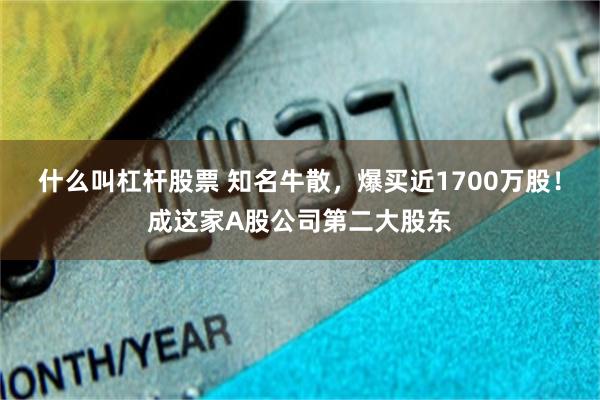 什么叫杠杆股票 知名牛散，爆买近1700万股！成这家A股公司第二大股东