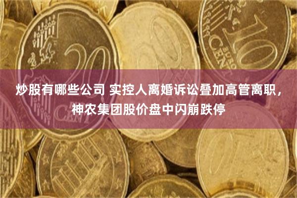 炒股有哪些公司 实控人离婚诉讼叠加高管离职，神农集团股价盘中闪崩跌停