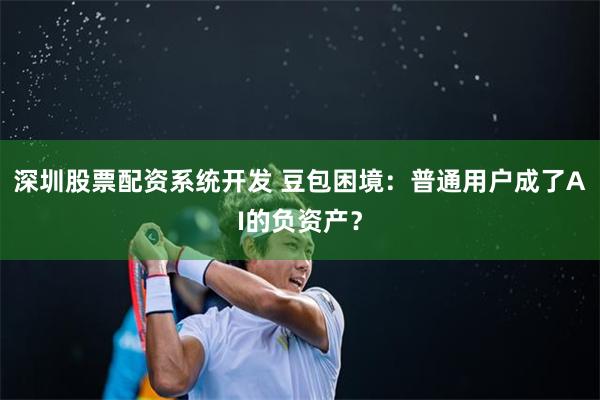 深圳股票配资系统开发 豆包困境：普通用户成了AI的负资产？