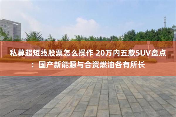 私募超短线股票怎么操作 20万内五款SUV盘点：国产新能源与合资燃油各有所长