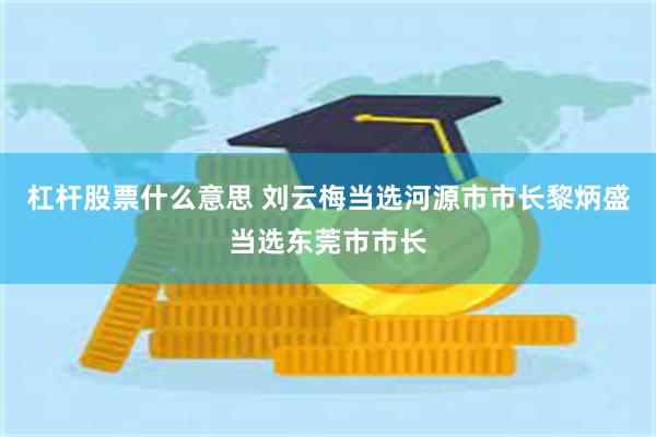 杠杆股票什么意思 刘云梅当选河源市市长黎炳盛当选东莞市市长