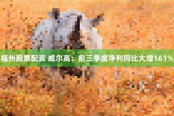 福州股票配资 威尔高：前三季度净利同比大增161%