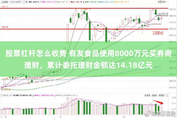 股票杠杆怎么收费 有友食品使用8000万元买券商理财，累计委托理财金额达14.18亿元