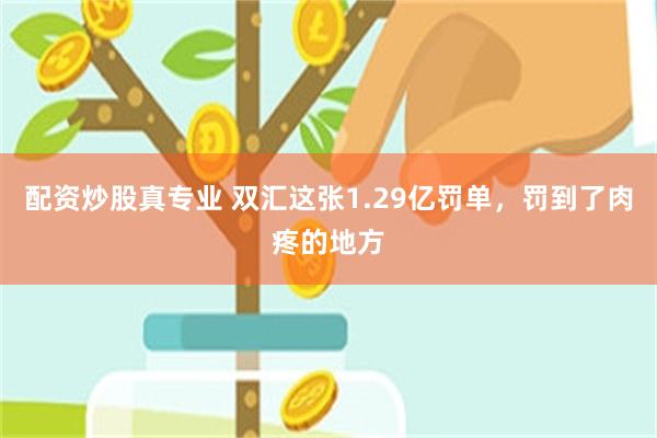 配资炒股真专业 双汇这张1.29亿罚单，罚到了肉疼的地方