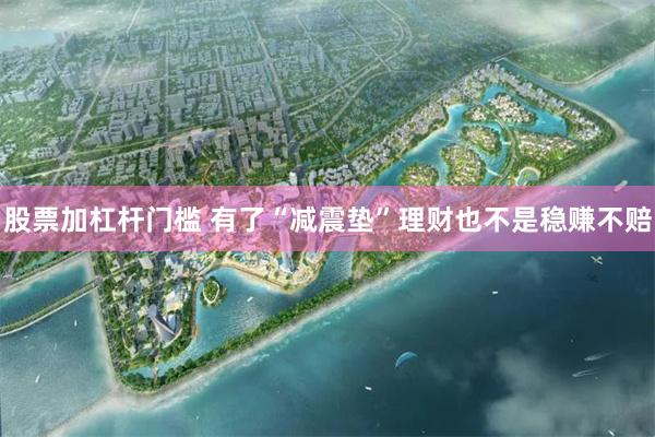 股票加杠杆门槛 有了“减震垫”理财也不是稳赚不赔